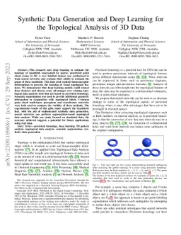 Synthetic Data Generation and Deep Learning for the Topological Analysis
  of 3D Data