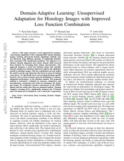 Domain-Adaptive Learning: Unsupervised Adaptation for Histology Images
  with Improved Loss Function Combination