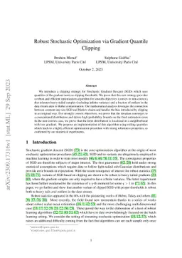 Robust Stochastic Optimization via Gradient Quantile Clipping