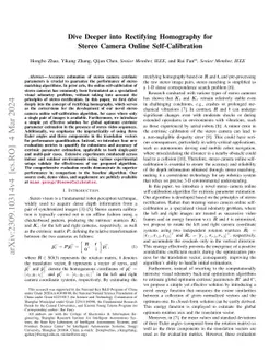 Dive Deeper into Rectifying Homography for Stereo Camera Online
  Self-Calibration