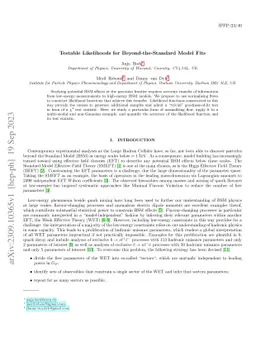 Testable Likelihoods for Beyond-the-Standard Model Fits