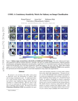 COSE: A Consistency-Sensitivity Metric for Saliency on Image
  Classification