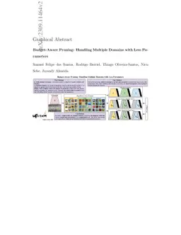 Budget-Aware Pruning: Handling Multiple Domains with Less Parameters