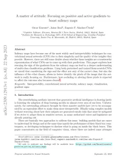 A matter of attitude: Focusing on positive and active gradients to boost
  saliency maps