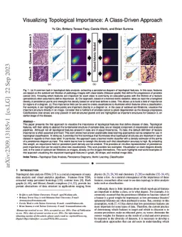 Visualizing Topological Importance: A Class-Driven Approach