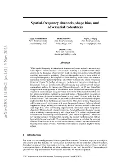 Spatial-frequency channels, shape bias, and adversarial robustness