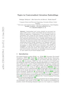Topics in Contextualised Attention Embeddings
