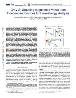 GraVIS: Grouping Augmented Views from Independent Sources for
  Dermatology Analysis