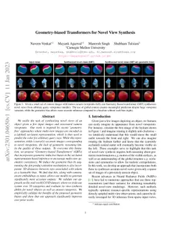 Geometry-biased Transformers for Novel View Synthesis