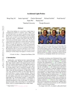 Accidental Light Probes