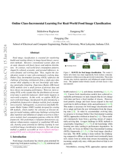 Online Class-Incremental Learning For Real-World Food Image
  Classification