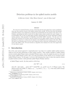 Detection problems in the spiked matrix models