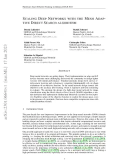 Scaling Deep Networks with the Mesh Adaptive Direct Search algorithm