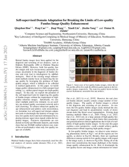 Self-supervised Domain Adaptation for Breaking the Limits of Low-quality Fundus Image Quality Enhancement