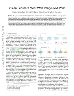 Vision Learners Meet Web Image-Text Pairs