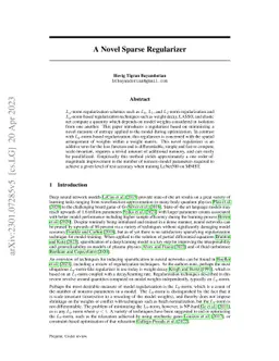 A Novel Sparse Regularizer