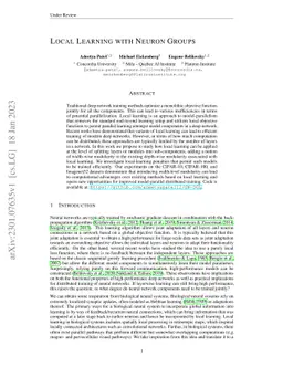 Local Learning with Neuron Groups