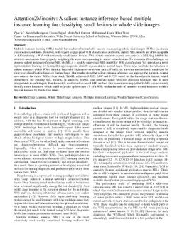 Attention2Minority: A salient instance inference-based multiple instance
  learning for classifying small lesions in whole slide images