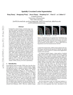 Spatially Covariant Lesion Segmentation