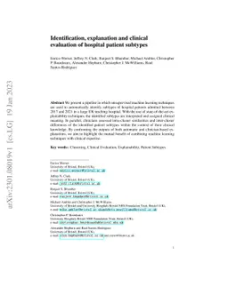 Identification, explanation and clinical evaluation of hospital patient
  subtypes