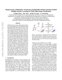 Diagnose Like a Pathologist: Transformer-Enabled Hierarchical
  Attention-Guided Multiple Instance Learning for Whole Slide Image
  Classification