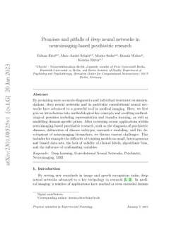 Promises and pitfalls of deep neural networks in neuroimaging-based
  psychiatric research