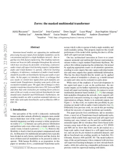 Zorro: the masked multimodal transformer