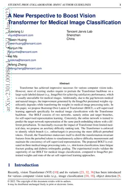 A New Perspective to Boost Vision Transformer for Medical Image
  Classification