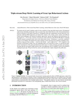 Triple-stream Deep Metric Learning of Great Ape Behavioural Actions
