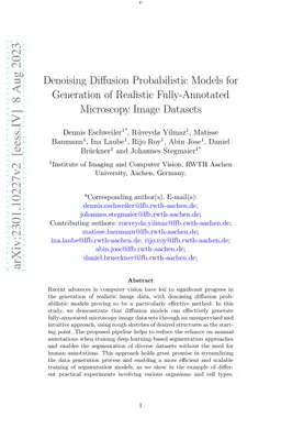 Denoising Diffusion Probabilistic Models for Generation of Realistic
  Fully-Annotated Microscopy Image Data Sets