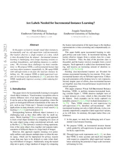 Are Labels Needed for Incremental Instance Learning?