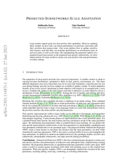 Projected Subnetworks Scale Adaptation