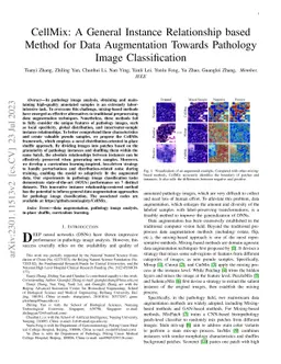 CellMix: A General Instance Relationship based Method for Data
  Augmentation Towards Pathology Image Classification