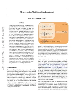 Meta-Learning Mini-Batch Risk Functionals