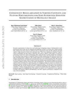 Consistency Regularisation in Varying Contexts and Feature Perturbations
  for Semi-Supervised Semantic Segmentation of Histology Images