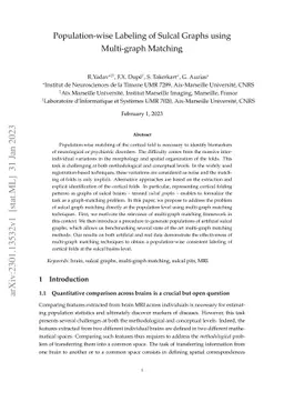 Population-wise Labeling of Sulcal Graphs using Multi-graph Matching