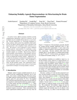 Enhancing Modality-Agnostic Representations via Meta-Learning for Brain
  Tumor Segmentation