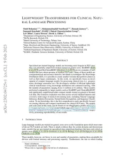 Lightweight Transformers for Clinical Natural Language Processing