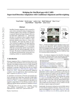 Bridging the Sim2Real gap with CARE: Supervised Detection Adaptation
  with Conditional Alignment and Reweighting