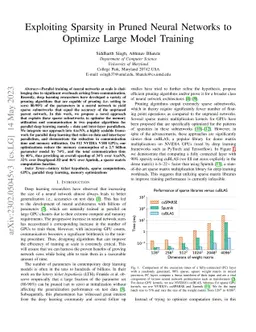 Exploiting Sparsity in Pruned Neural Networks to Optimize Large Model
  Training