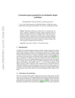 A function space perspective on stochastic shape evolution