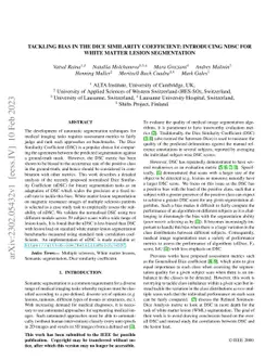 Tackling Bias in the Dice Similarity Coefficient: Introducing nDSC for
  White Matter Lesion Segmentation