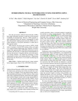 Hybrid Spiking Neural Network Fine-tuning for Hippocampus Segmentation