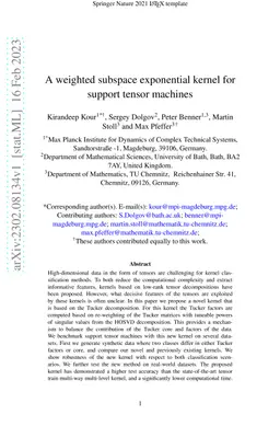 A weighted subspace exponential kernel for support tensor machines