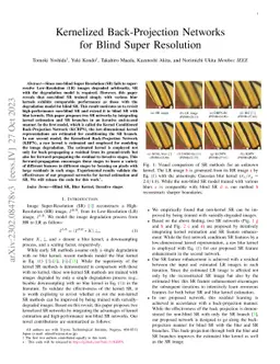 Kernelized Back-Projection Networks for Blind Super Resolution