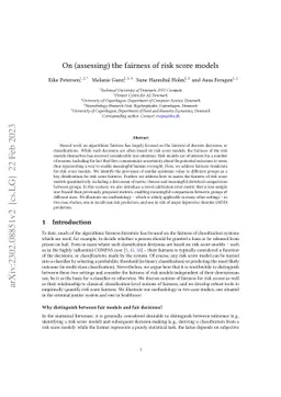 On (assessing) the fairness of risk score models