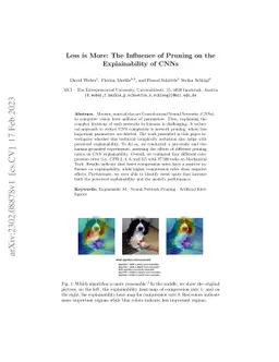 Less is More: The Influence of Pruning on the Explainability of CNNs