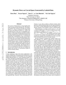 Dynamic Flows on Curved Space Generated by Labeled Data