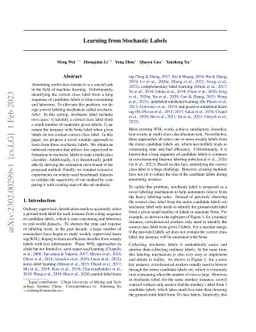 Learning from Stochastic Labels