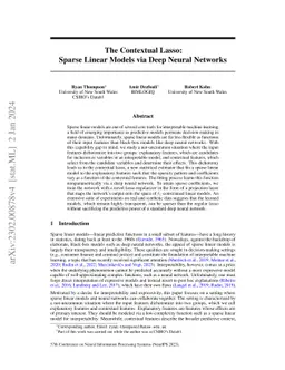 The Contextual Lasso: Sparse Linear Models via Deep Neural Networks